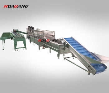 自動化水果類清洗風干稱重分選流水線