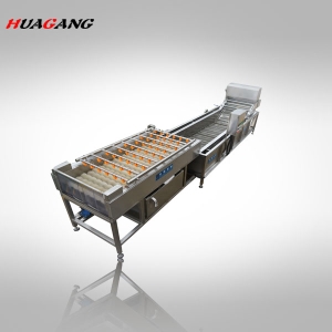 柑橘毛輥氣泡清洗線