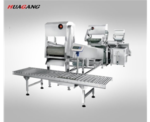 全自動(dòng)大型連續(xù)式葉菜類清洗線