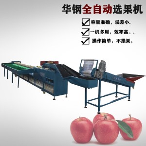 不銹鋼款選果機(jī)