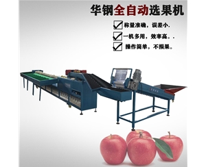 不銹鋼款選果機(jī)