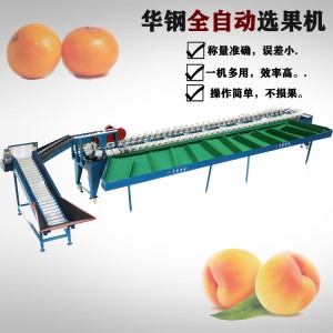 大果盤稱重分選機(jī)